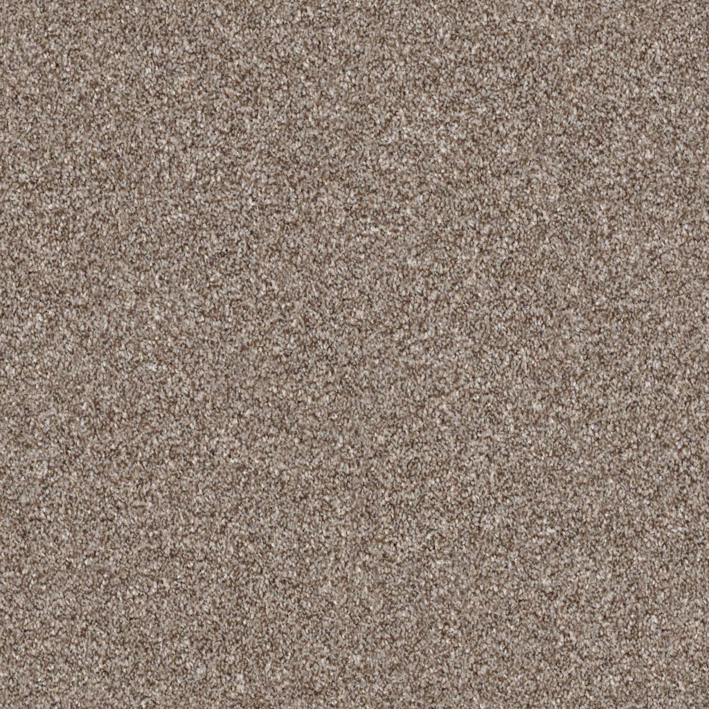 Shaw Floors Make It Mine Ii - Fox Hollow