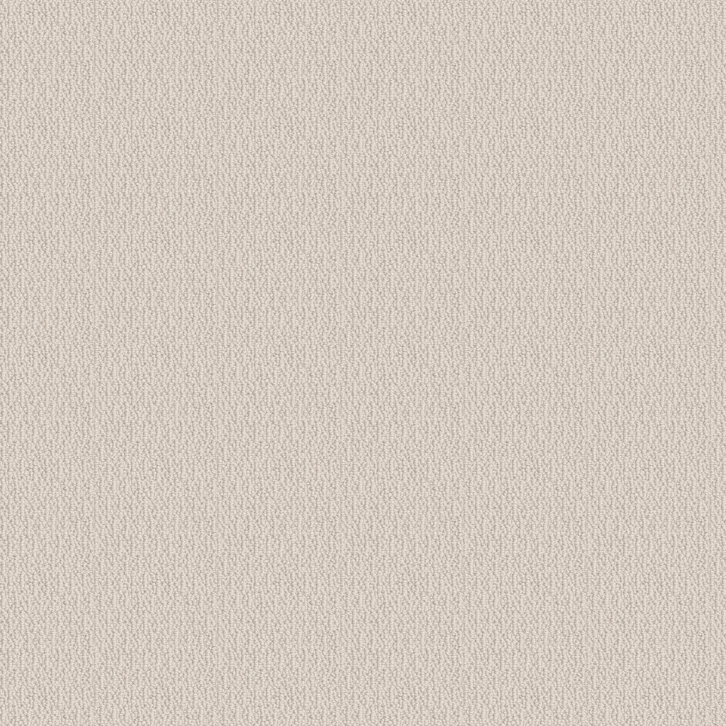 Shaw Floors Loop De Loop - Canvas