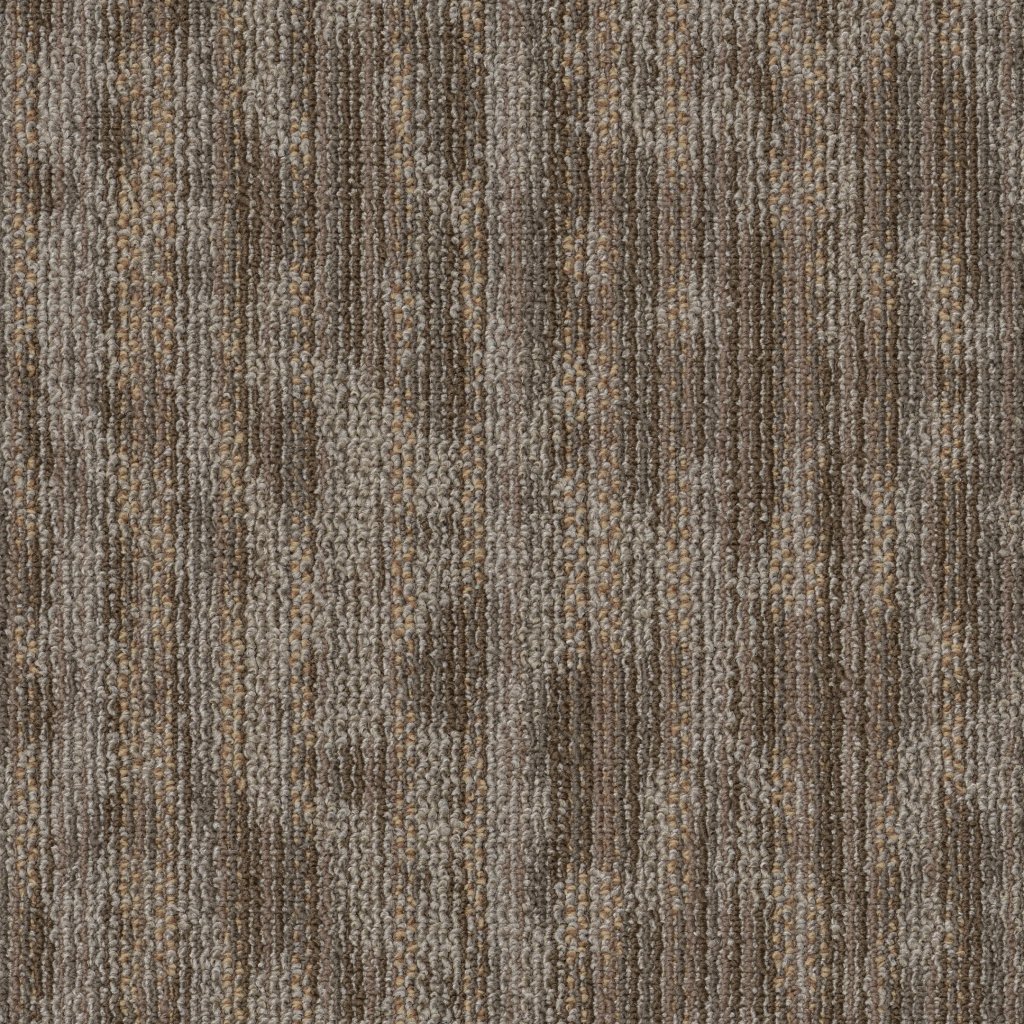 Philadelphia Commercial Folium - Canopy