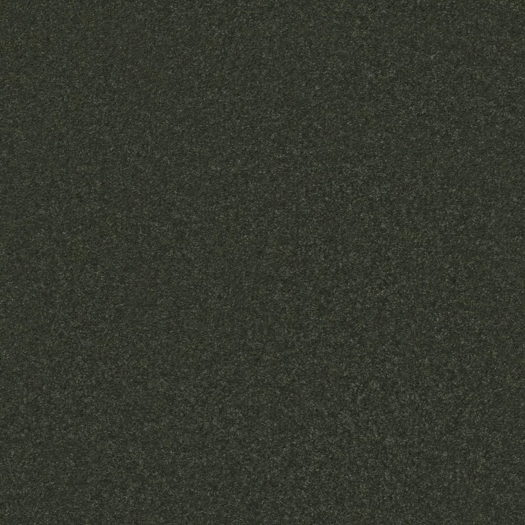 Shaw Floors Well Played II 15' - Aspen