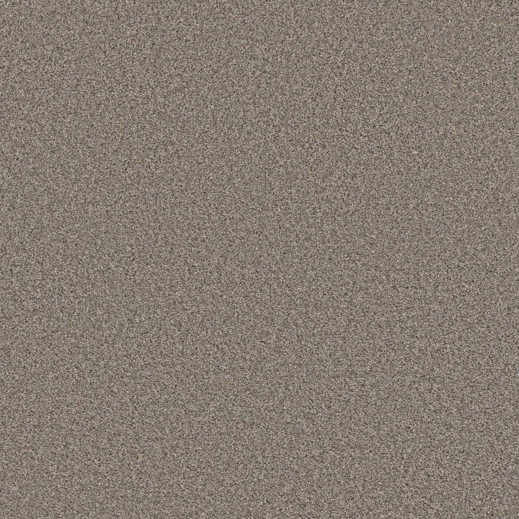 Shaw Floors Always Right I - Graphite