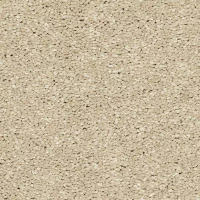 Mohawk Refined Delight III - Stone Lion