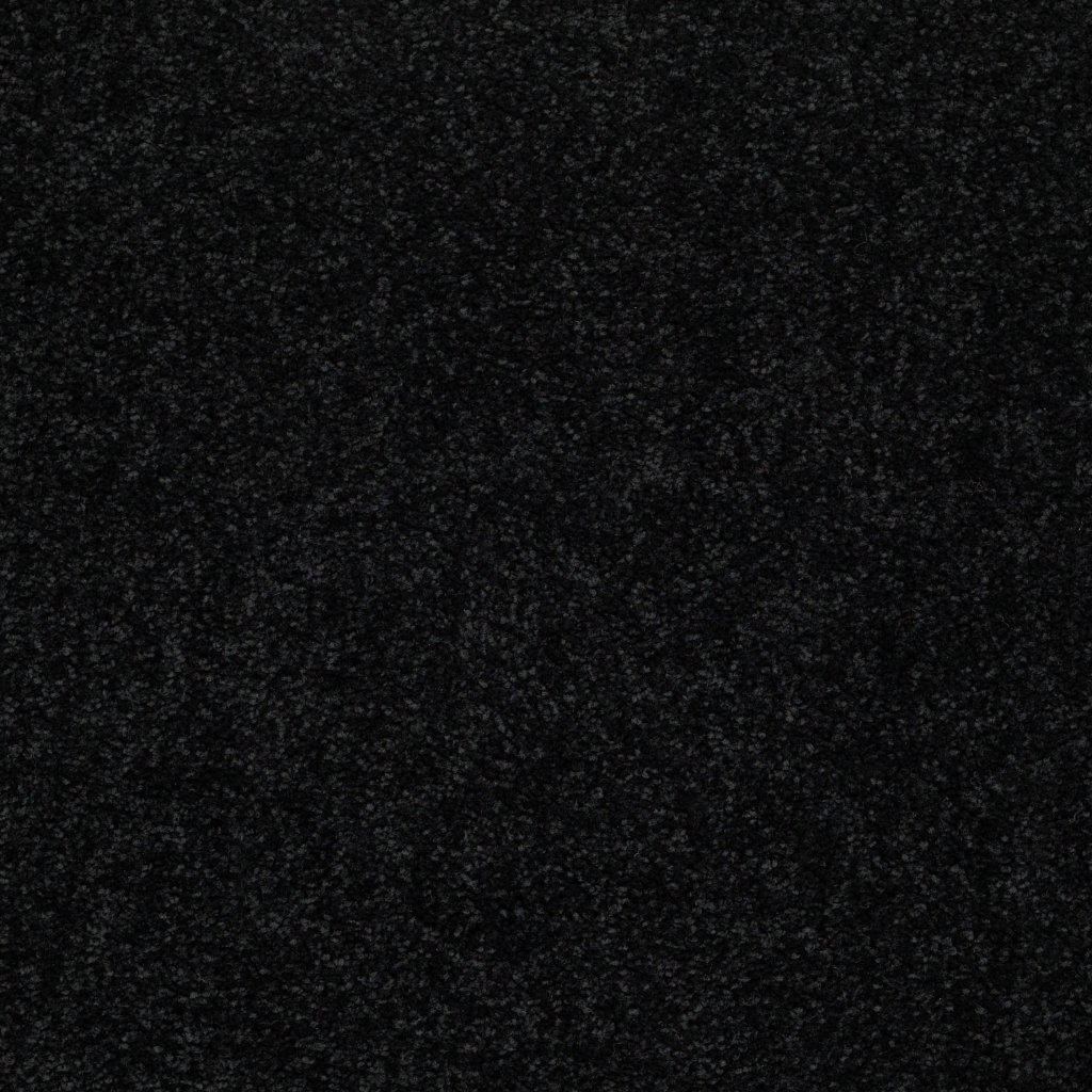 Shaw Floors Dyersburg II 15' - Coal Black