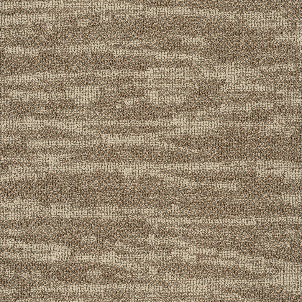 Philadelphia Commercial Tidewater - Dunes