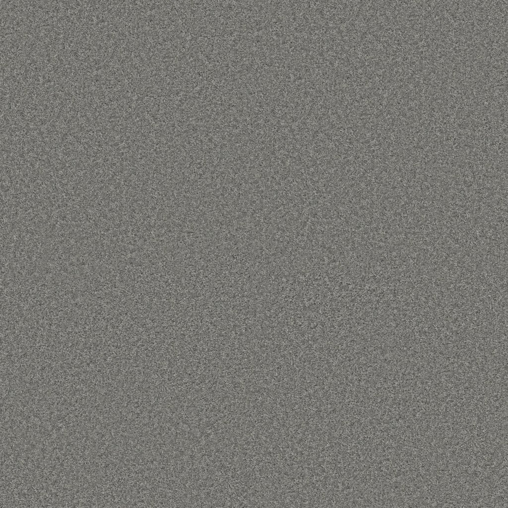 Shaw Floors Vitalize (S) 12' - Silver Blaze