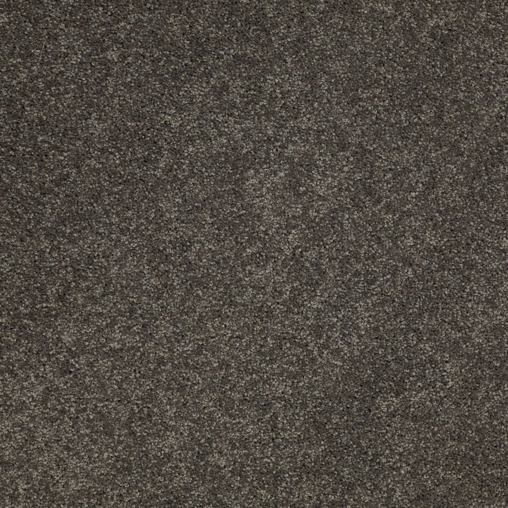 Shaw Floors Salina I - Smoked Pearl