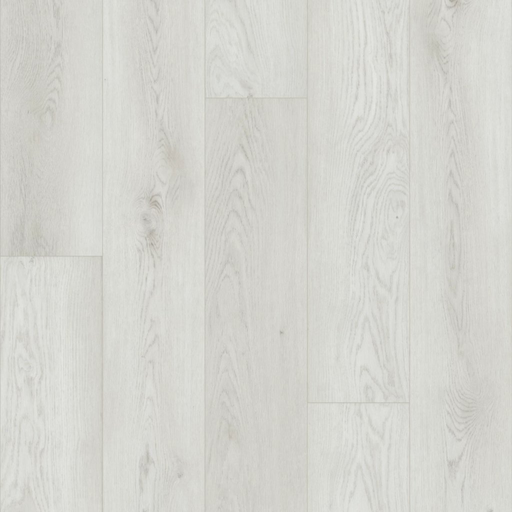 Shaw Floors Paladin Plus - Feather Grey