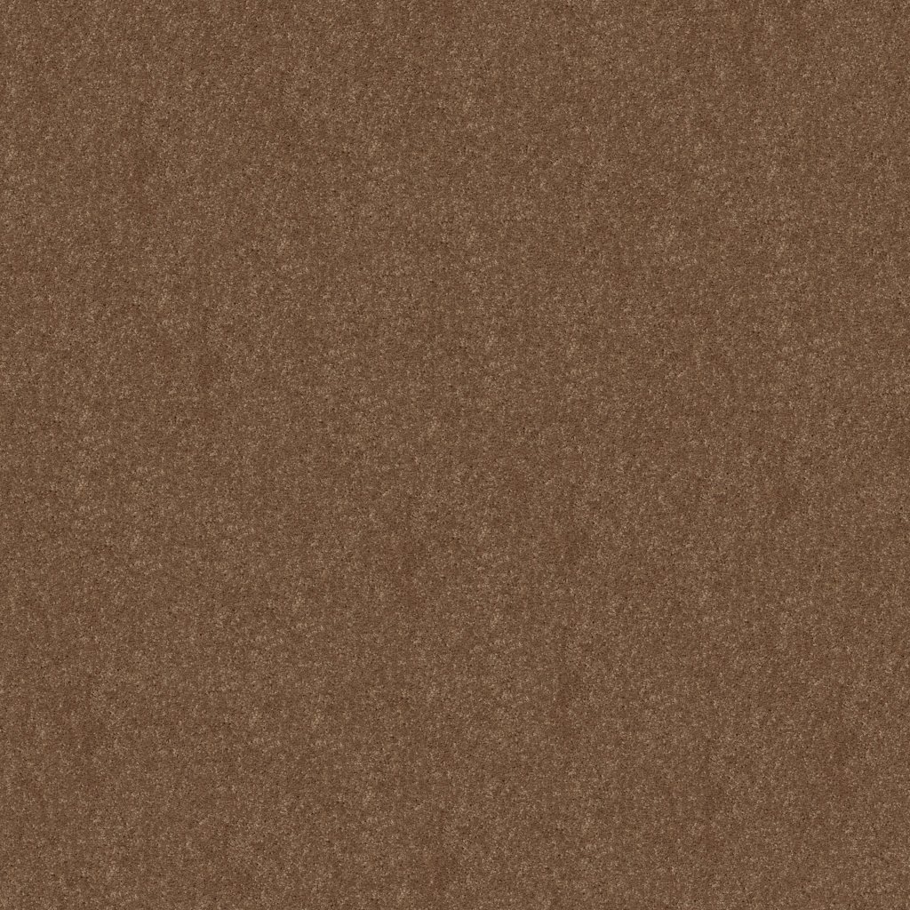Shaw Floors Newbern Classic 15' - Candied Truffle