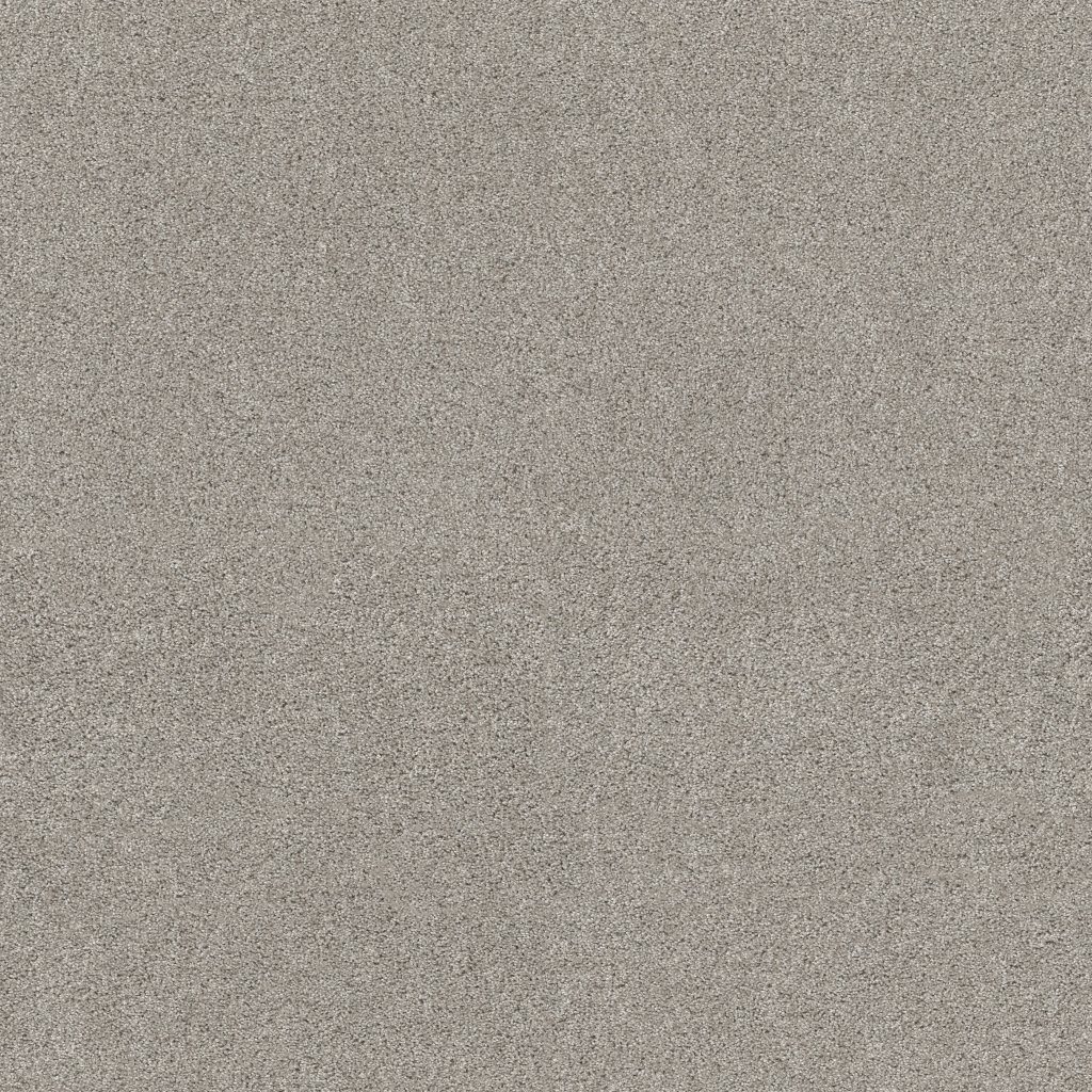 Shaw Floors Ocean View - Silver Screen