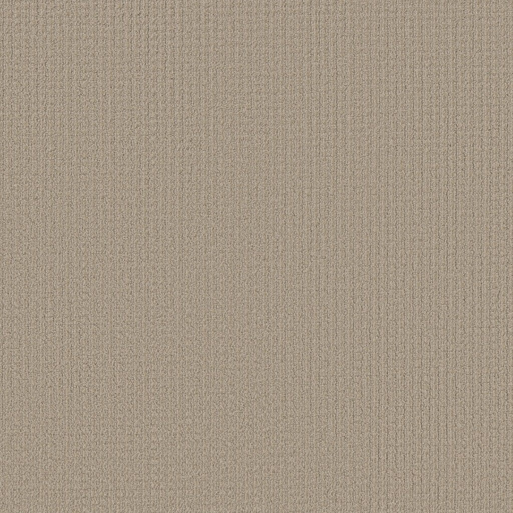 Shaw Floors Aerial Arts - Tiramisu