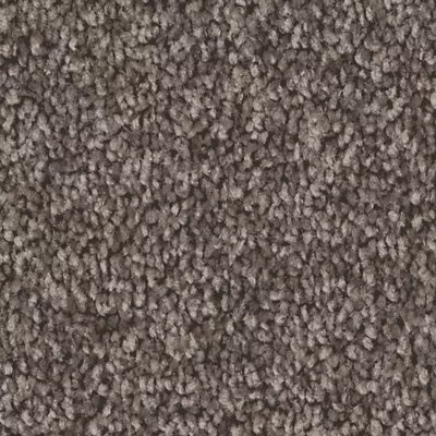 Mohawk Exceptional Choice - Weathered Plank