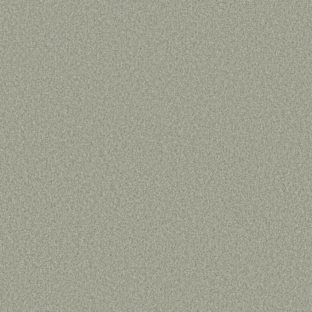 Shaw Floors Tonal Comfort II - Willow Tree