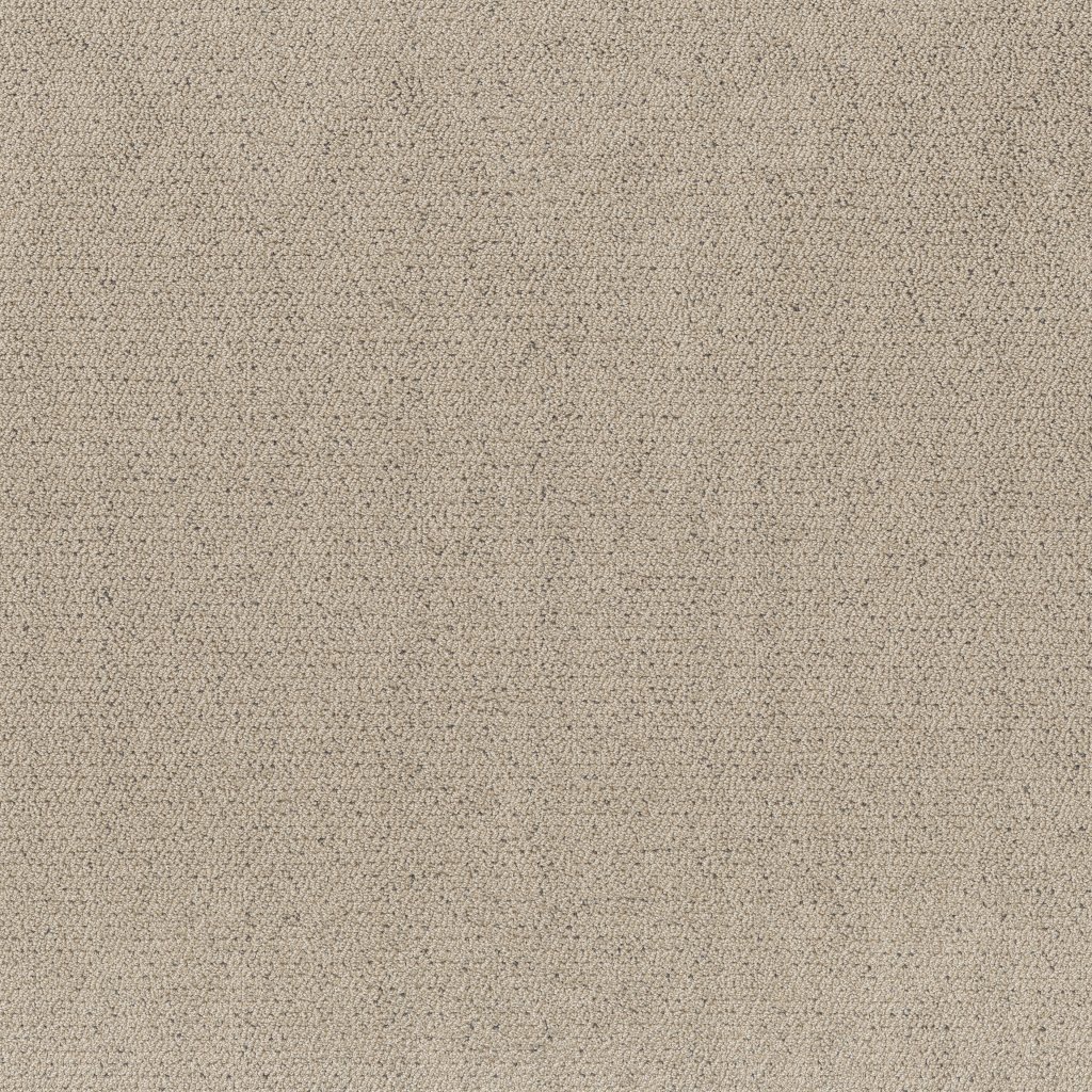 Shaw Floors Intricate Trace - Warm Light