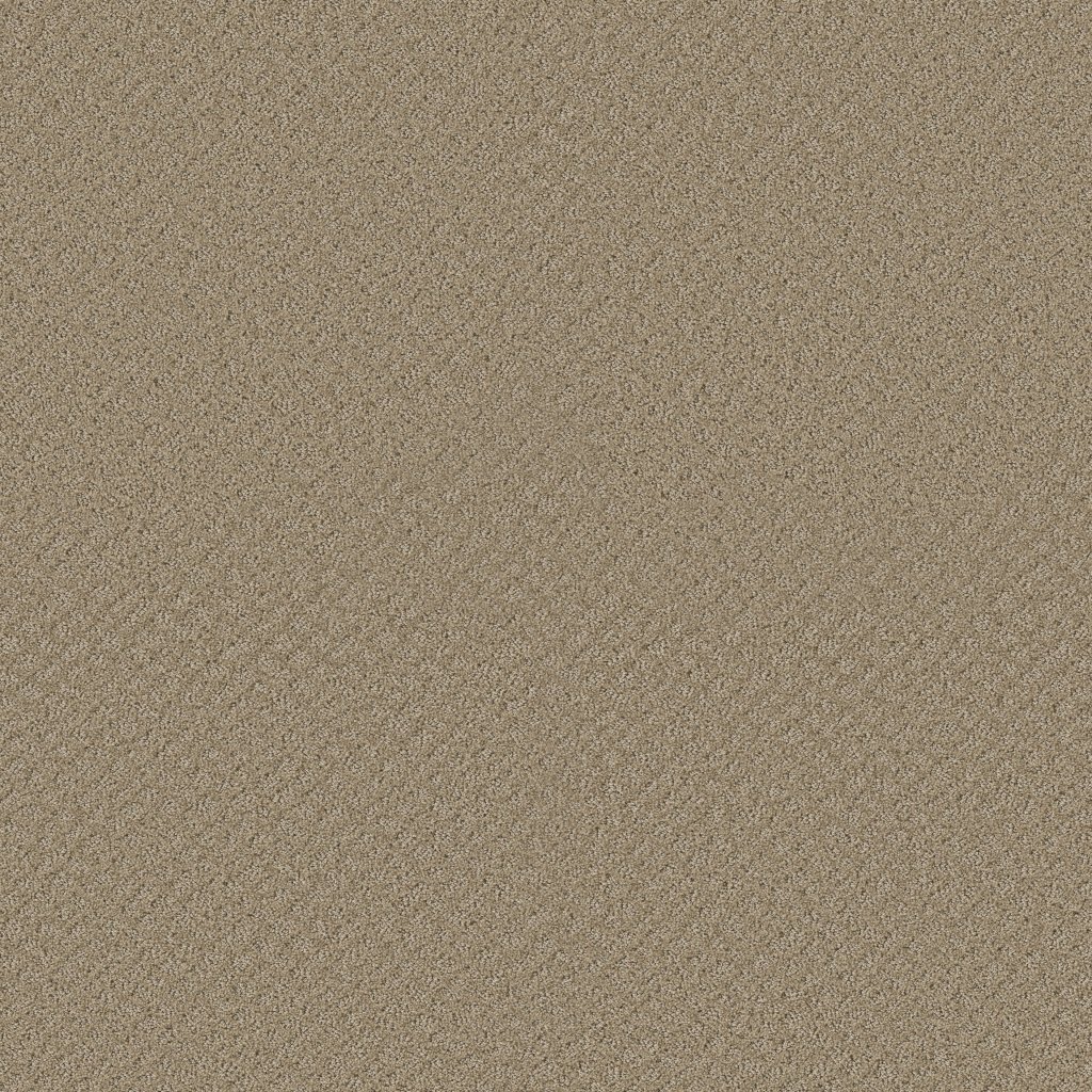 Shaw Floors Chic Shades - Desert View