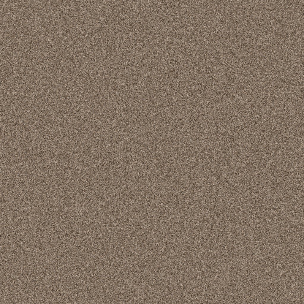 Shaw Floors Wonderland II - Slate