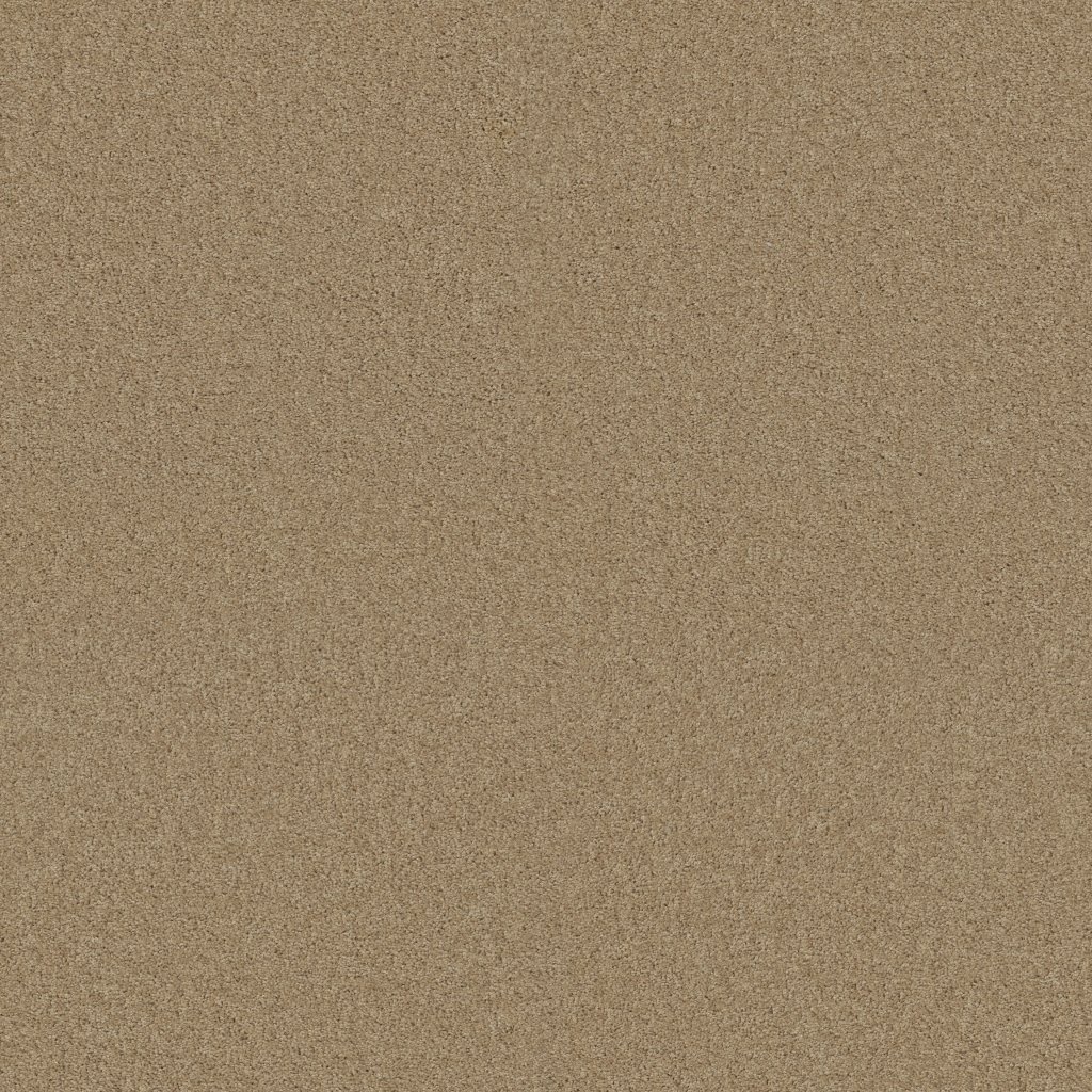 Shaw Floors Enduring Comfort I - Taffeta