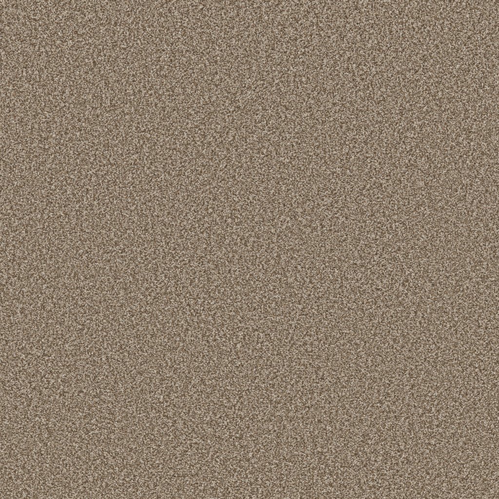 Shaw Floors Artistic Fusion II - Cameo
