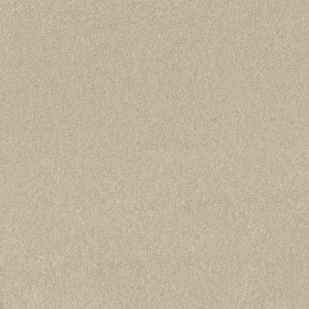 Shaw Floors Sun Valley 12 - Ivory Tint