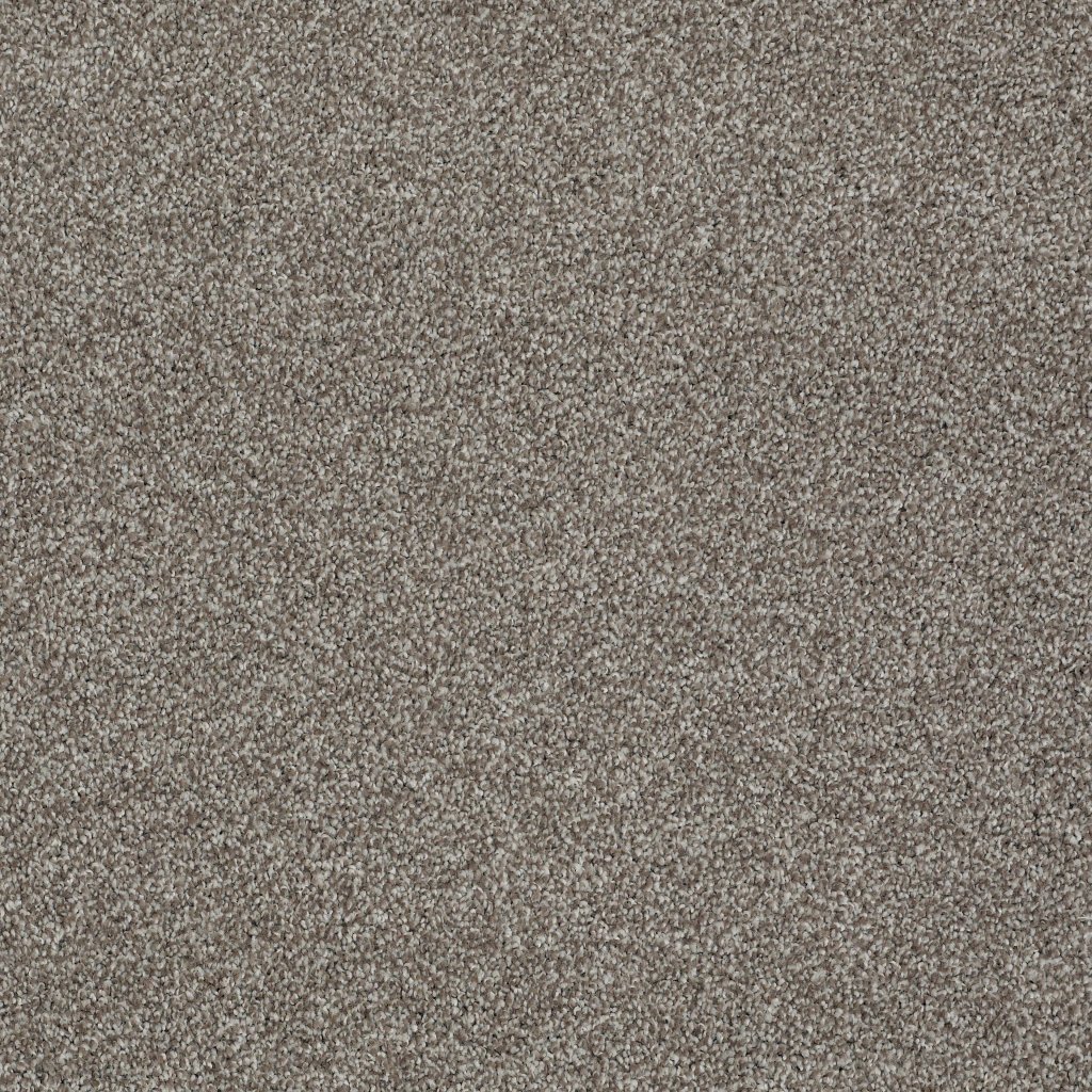 Shaw Floors Always Ready II - Flint Stone
