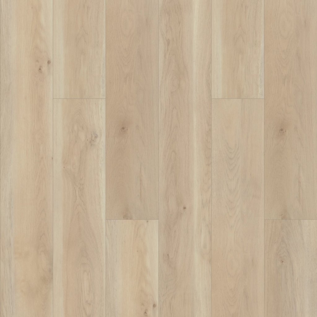 Shaw Floors Paragon HD Plus NB - Cambridge