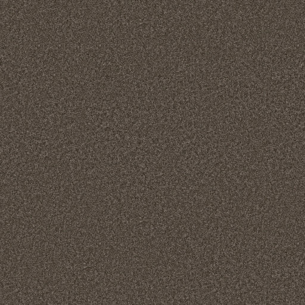 Shaw Floors You Got This III - Urban Rustic