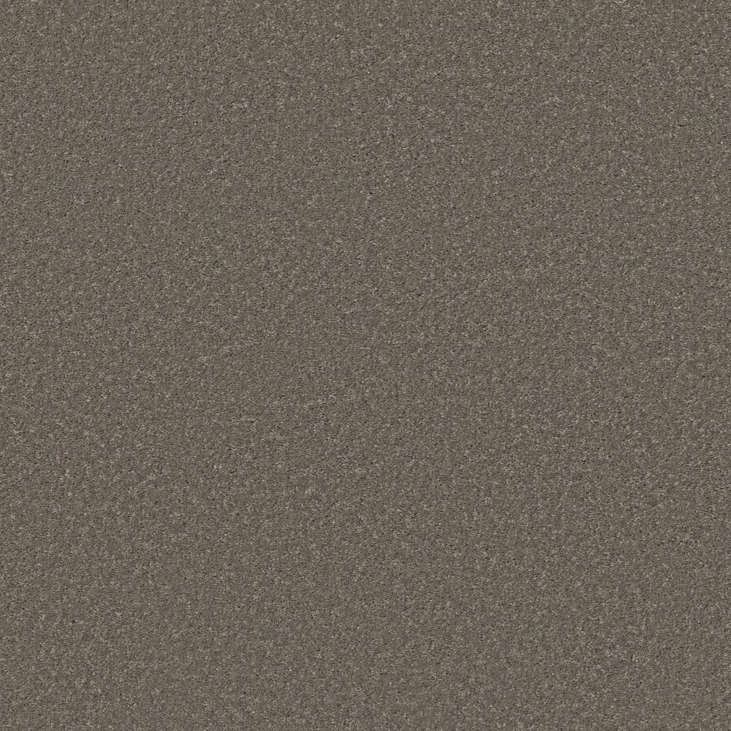 Shaw Floors Smooth Talk II - Urban Taupe