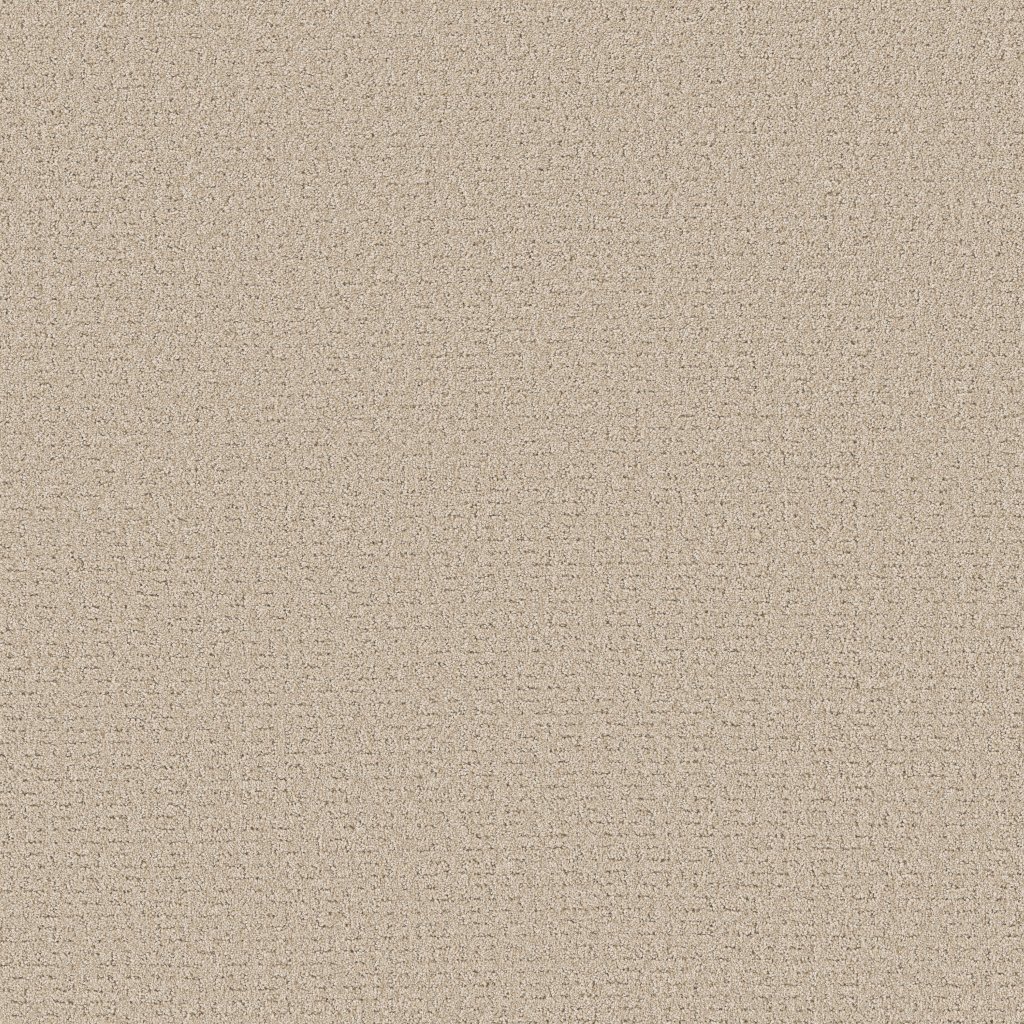 Shaw Floors Secret Journey - Cafe Latte