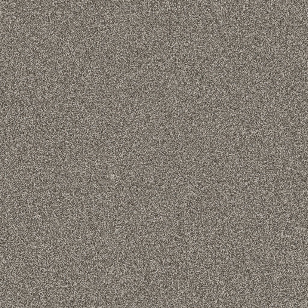 Shaw Floors Timeless Tone Blue - Night Owl