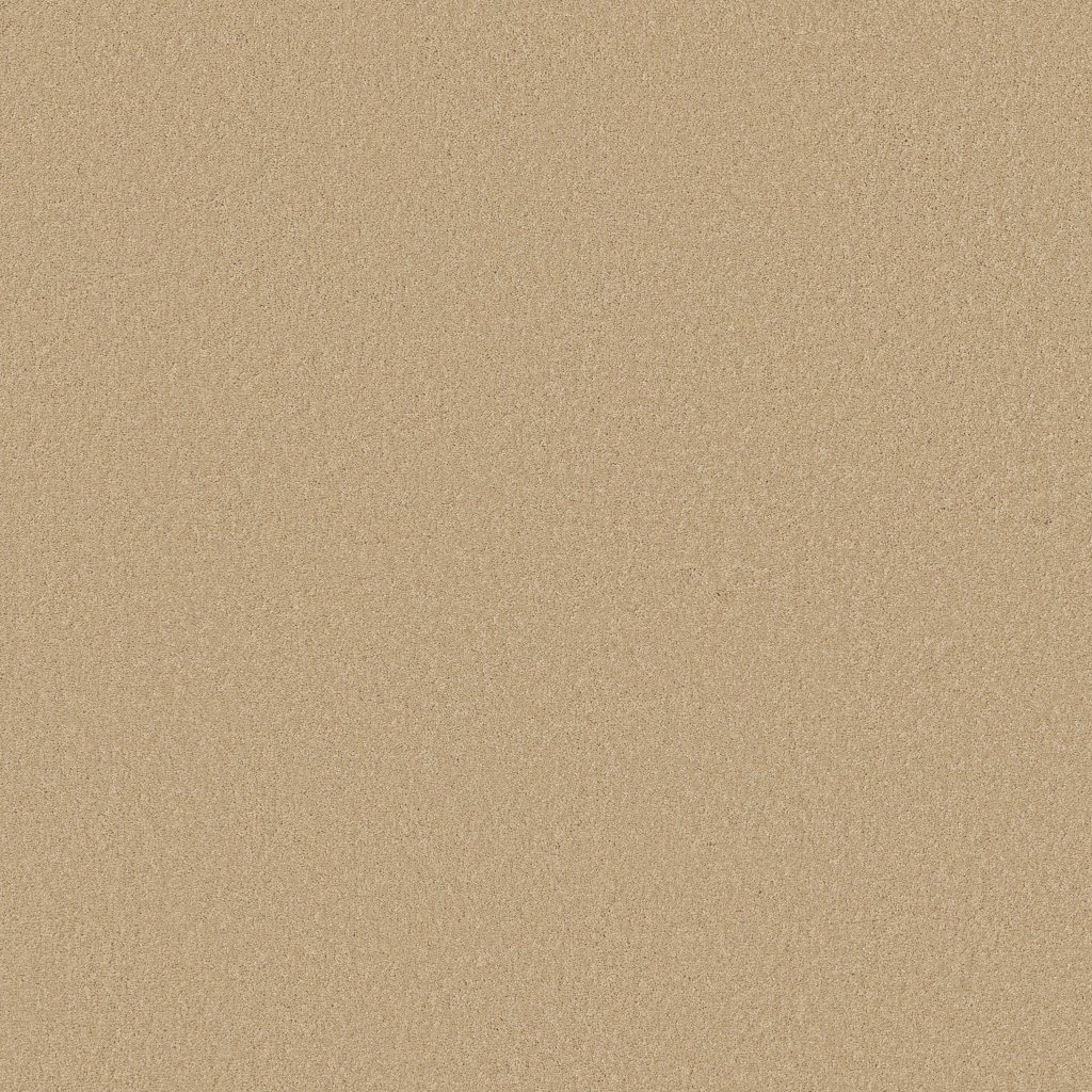 Shaw Floors Timeless Appeal III 12' - Pine Cone