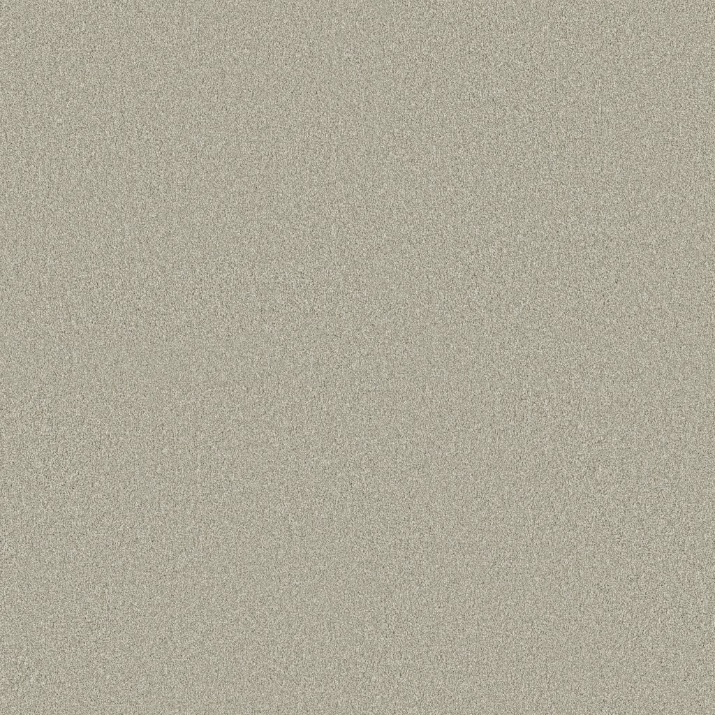 Shaw Floors Classic Tone - Frosted Sage