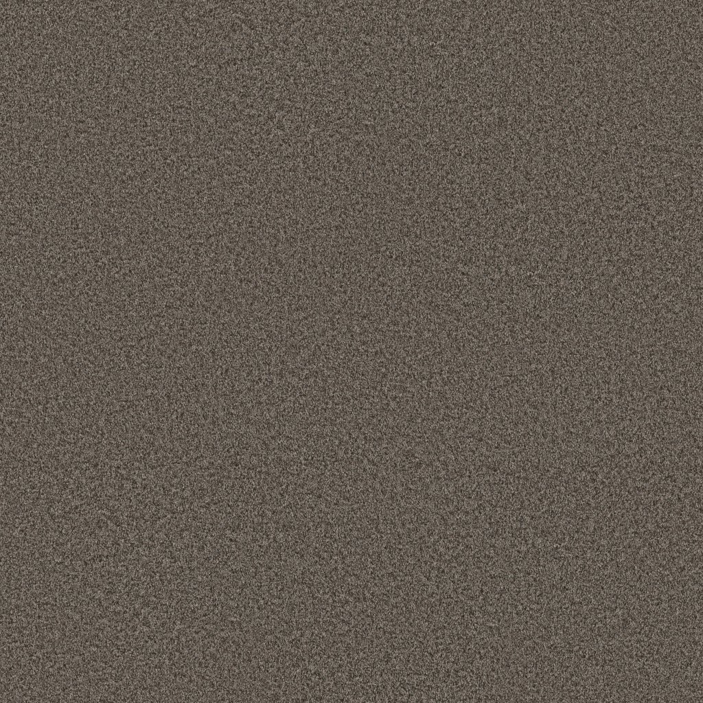 Shaw Floors You Got This I - Urban Rustic