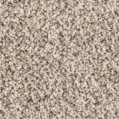 Mohawk Assorted Elements II - Silver Dollar