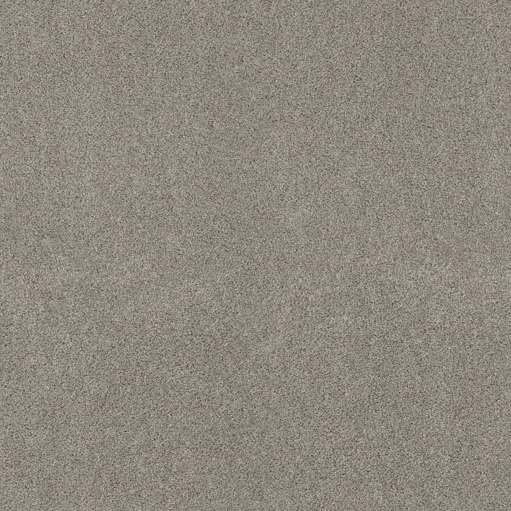 Shaw Floors Ocean View - Shadow