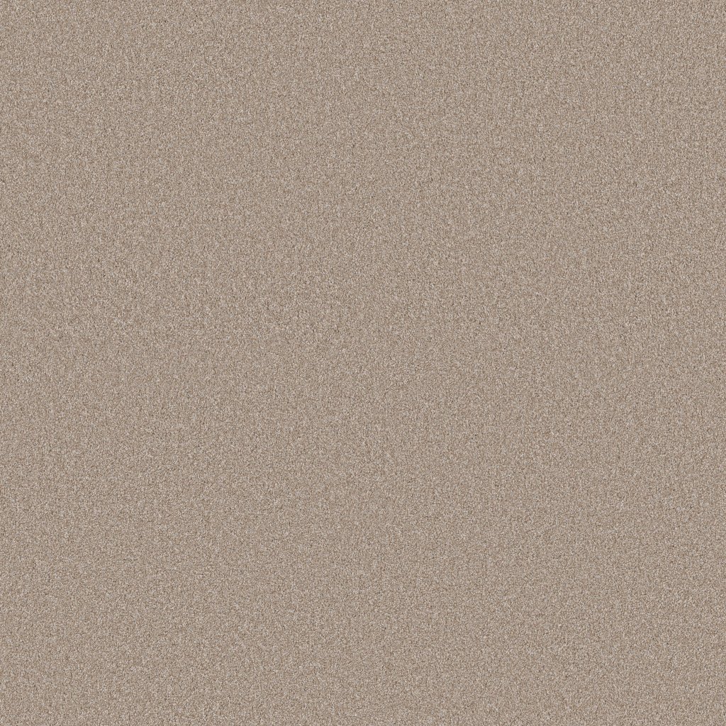 Shaw Floors Classic Tone - Latte