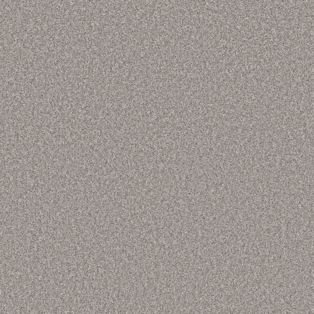 Shaw Floors Take Away (T) - Chateau