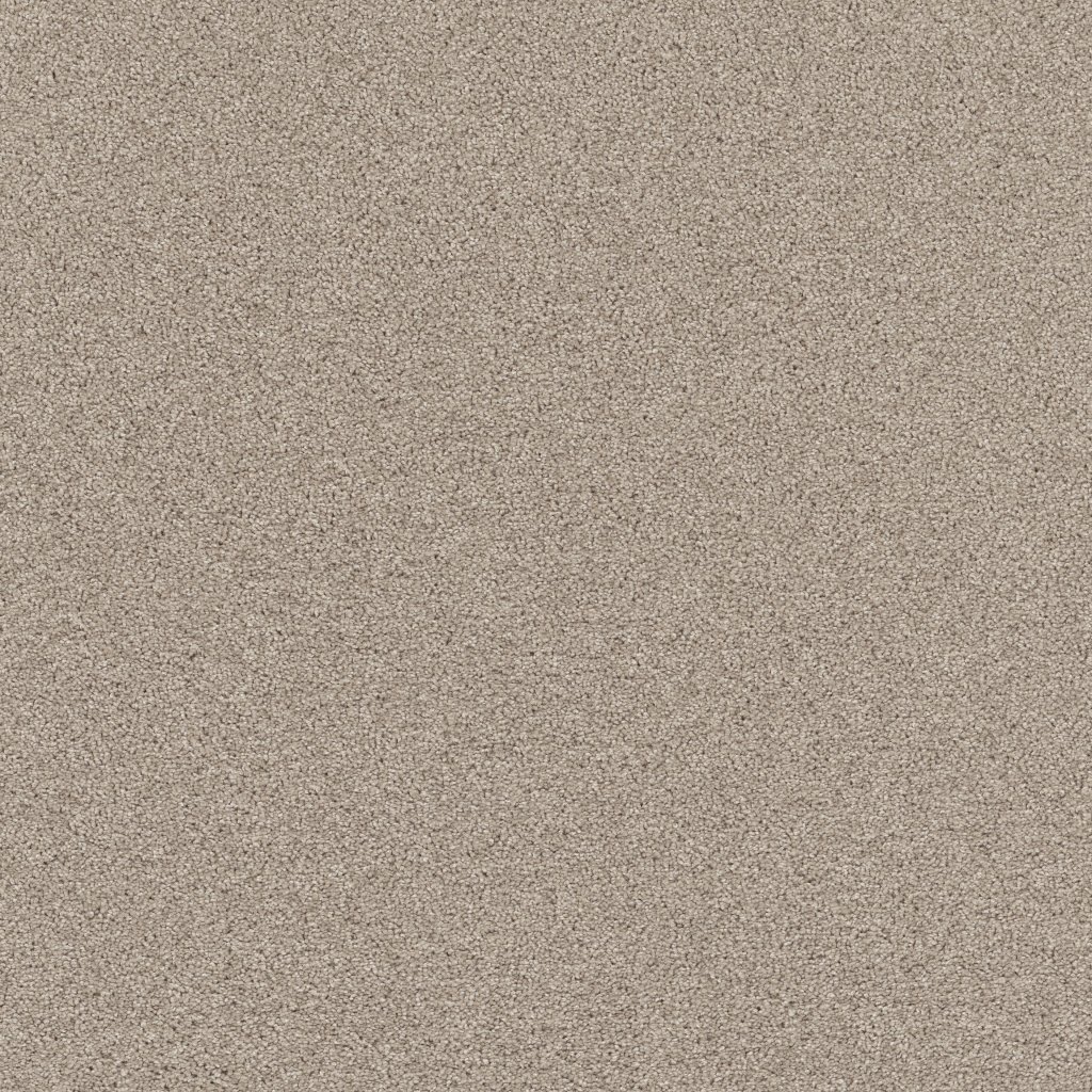 Shaw Floors Affirmation I - Sculptor