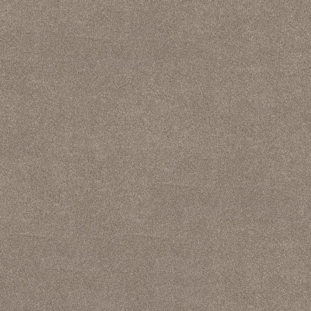Shaw Floors Vivid Touch II - Mocha