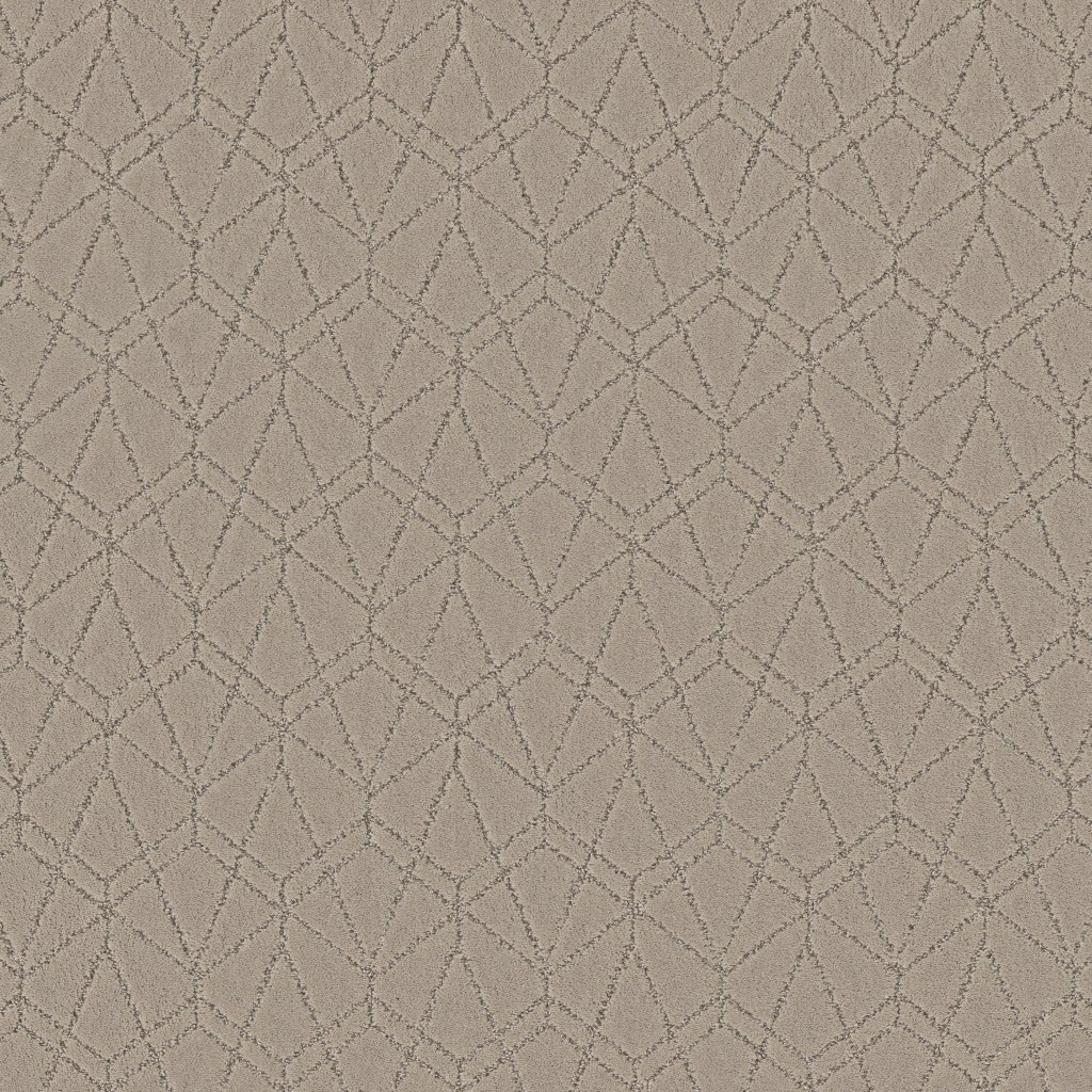 Shaw Floors Point Of View - Chic Greige