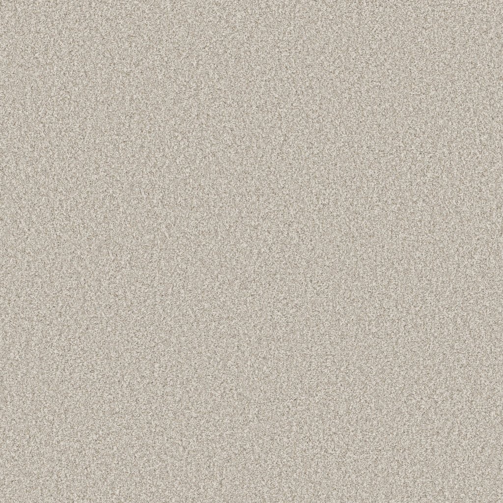 Shaw Floors Timeless Tone Blue - Alpine Snow