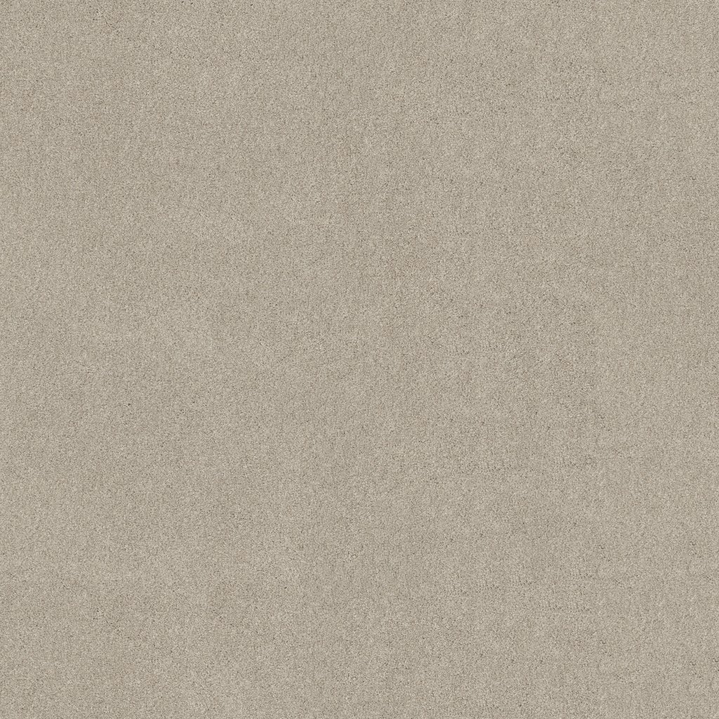 Shaw Floors YOU KNOW IT - Cement Mix