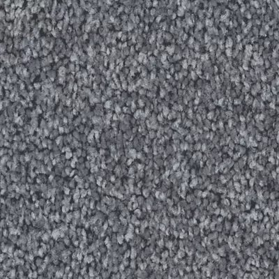 Mohawk Exceptional Choice - Brushed Metal