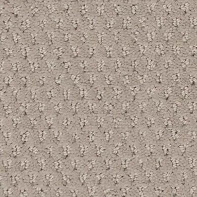 Mohawk Dynamic Momentum - Spirited