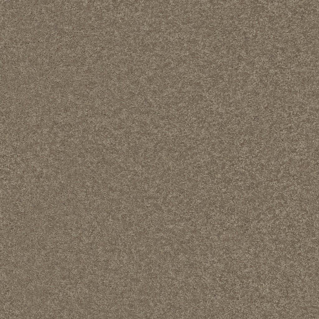 Shaw Floors Well Played II 15' - Wild Rice