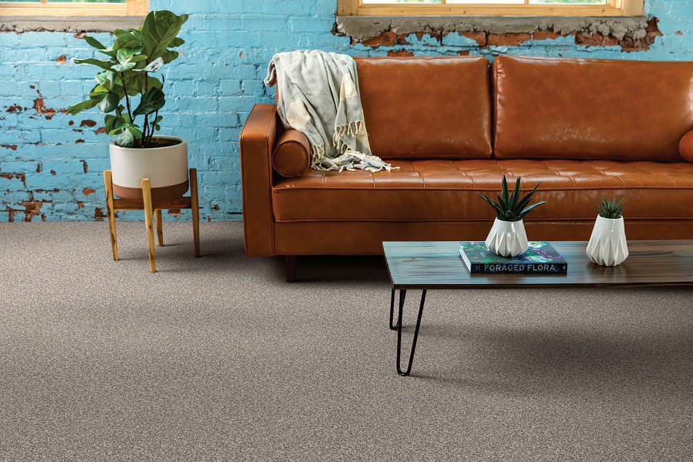 Shaw Floors Soft Effervescence - Mushroom