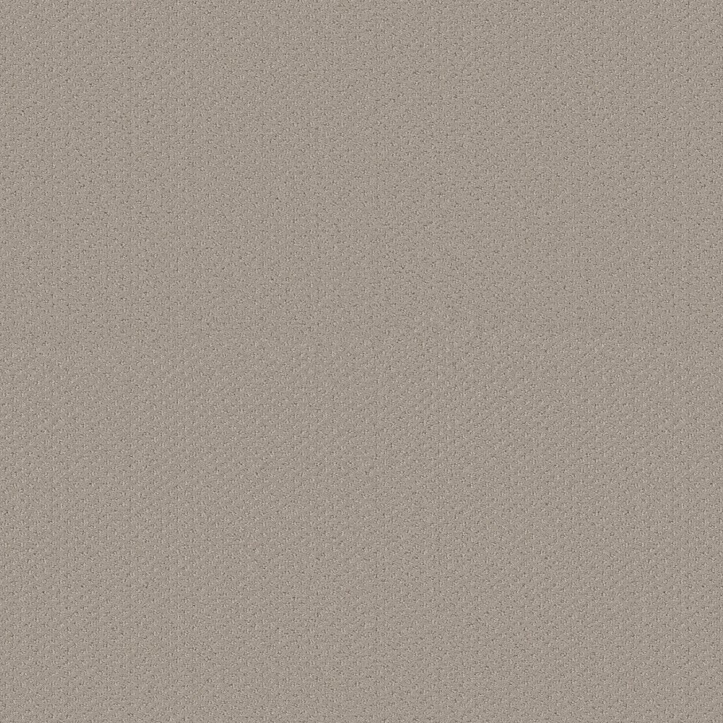 Shaw Floors Infallible Instinct - Studio Taupe