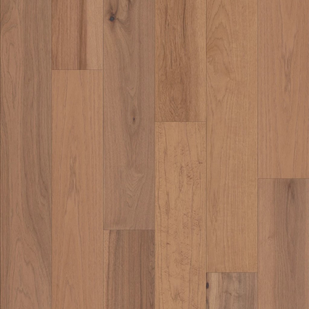 Shaw Floors Exploration Hickory - Dune