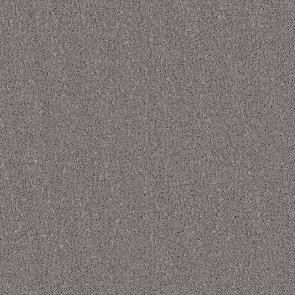 Shaw Floors Studio Set - Lunar Haze