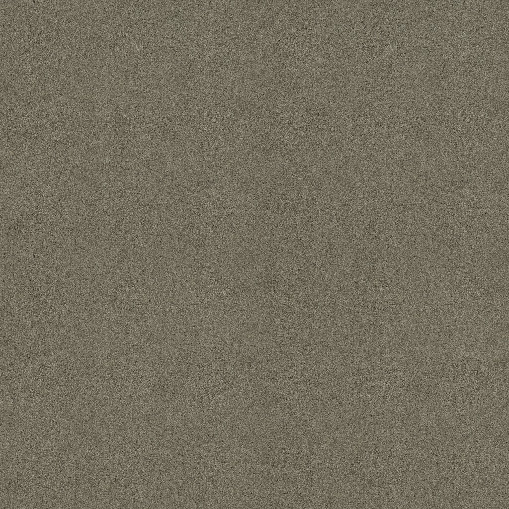 Shaw Floors Always Mine - City Gray