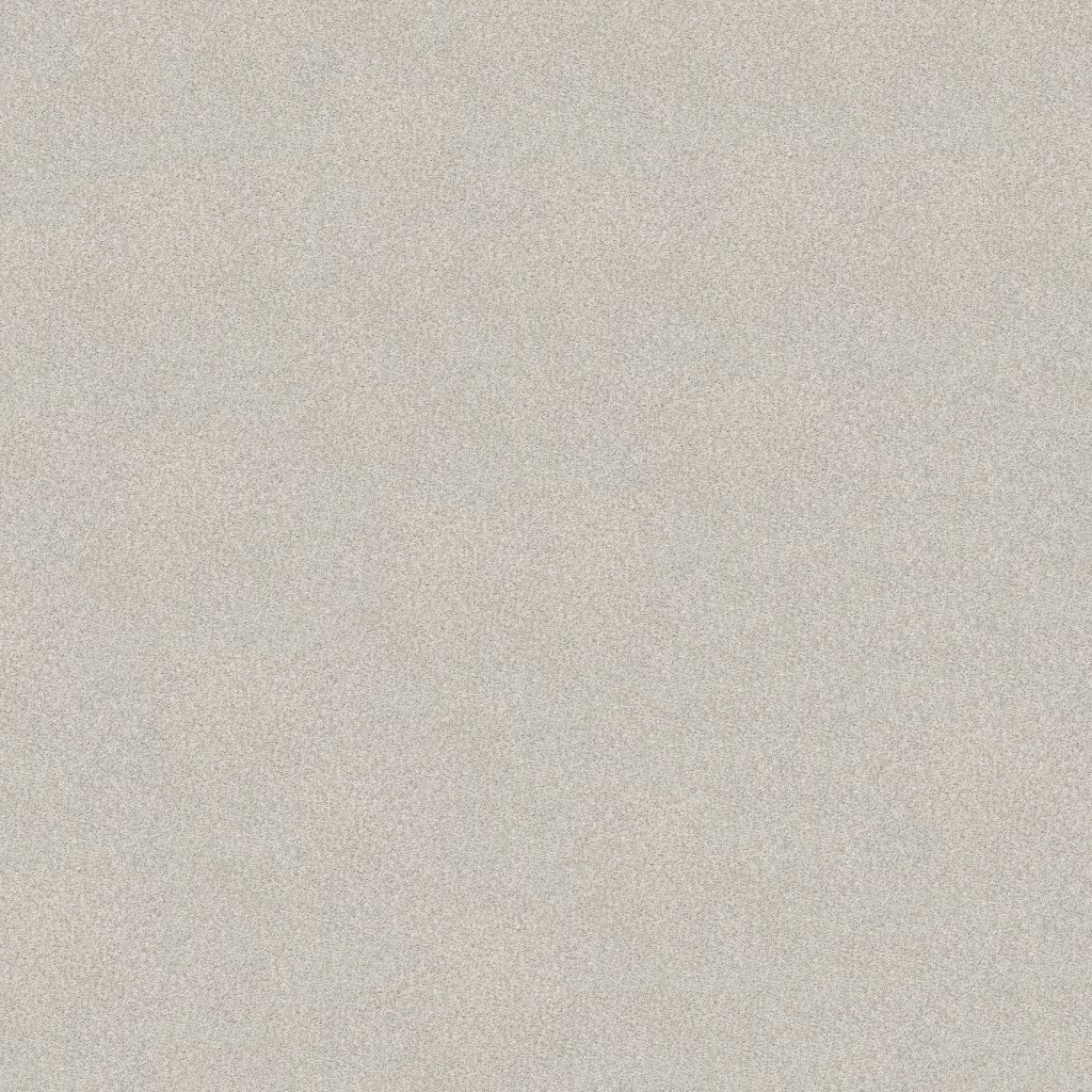 Shaw Floors Tonal Comfort I - Quiet Time
