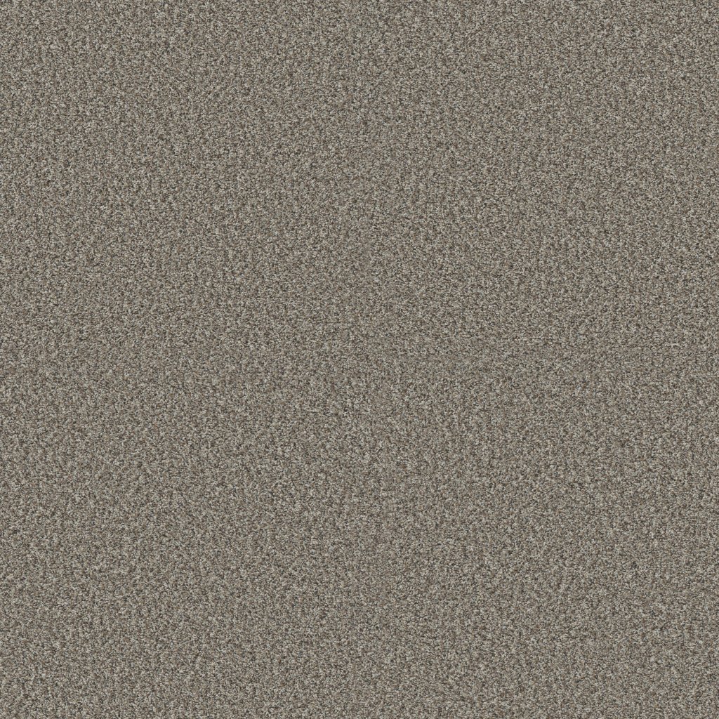 Shaw Floors Yes You Can I 12' - Chic Greige